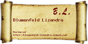 Blumenfeld Lizandra névjegykártya
